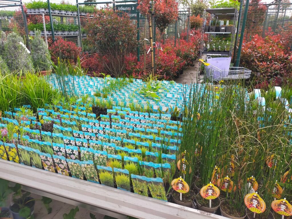 Plantes Aquatiques Magasin de Waziers