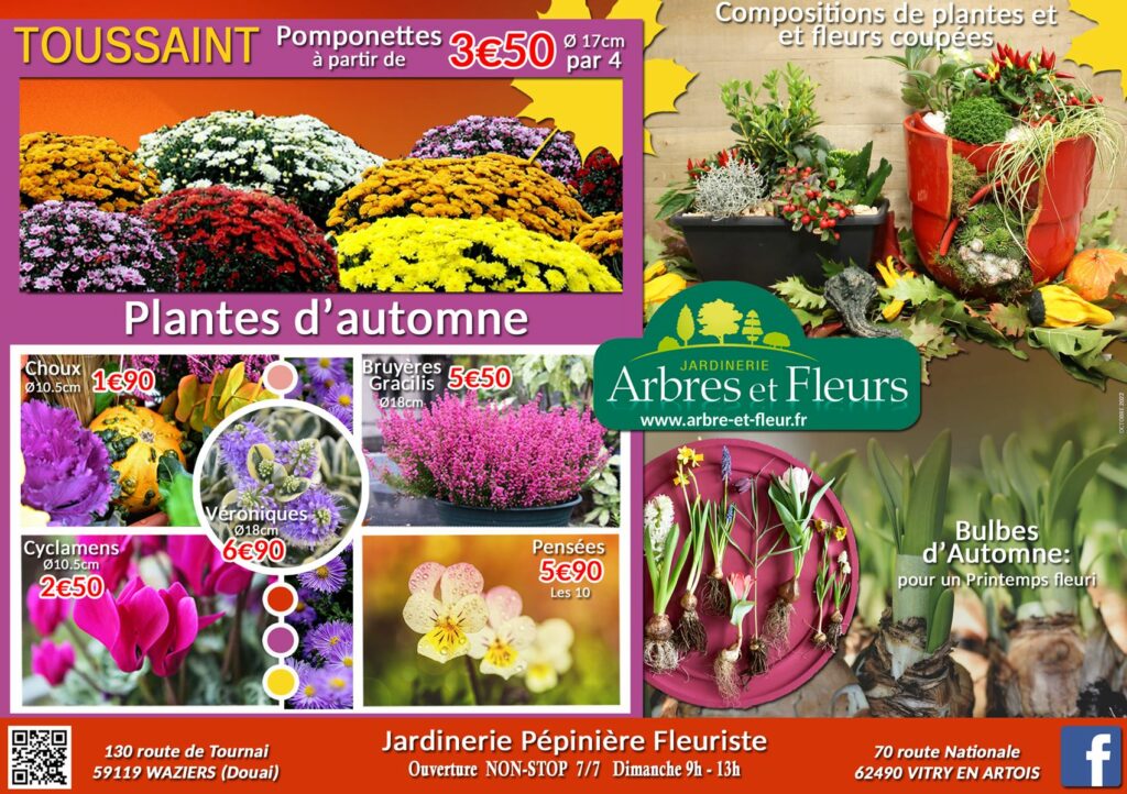 ECENCE Fleurs, plantes et arbres - Comparer les prix avec  -  Publicité