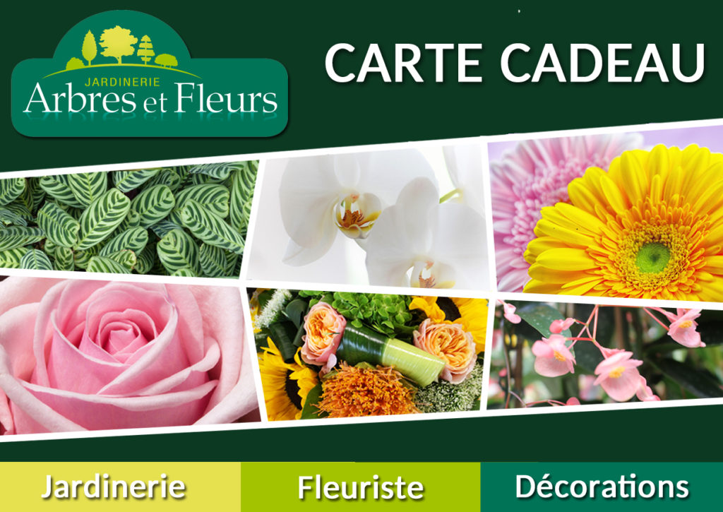 carte cadeau
